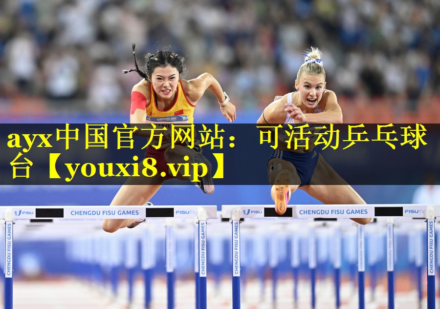可活动乒乓球台 可活动乒乓球台